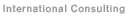 International Consulting